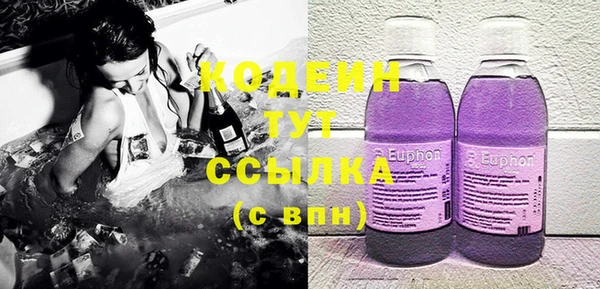 индика Нея