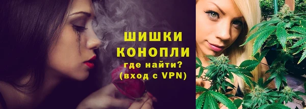 индика Нея
