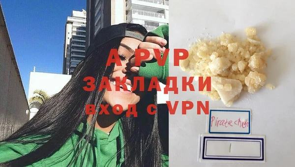 индика Нея