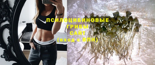 индика Нея