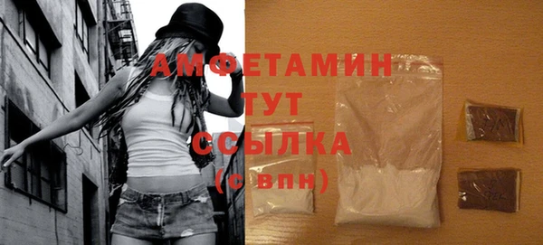 индика Нея