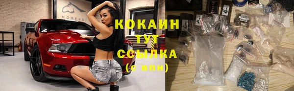 индика Нея