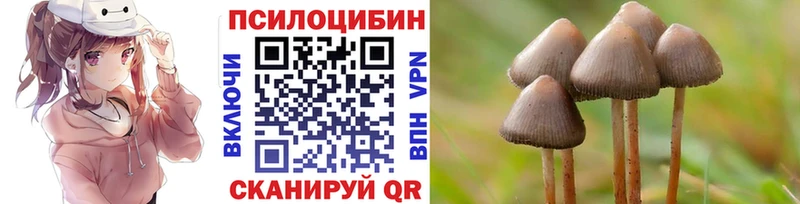 Галлюциногенные грибы ЛСД  Барнаул 